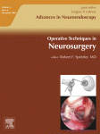 Go to journal home page - Operative Techniques in Neurosurgery